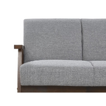 Gray 2-seater sofa (asnes)