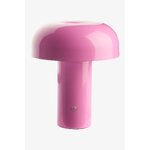 Pink Table Lamp (Ragge) D20 (copy)