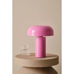 Pink Table Lamp (Ragge) D20 (copy)