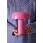 Pink Table Lamp (Ragge) D20 (copy)