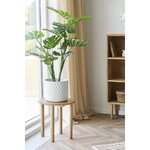 Puķu pods (house nordic) (vesels, kastē)
