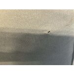 Didelė šviesi modulinė sofa su pufu (Lennon) 327 cm, mažas kosmetinis defektas