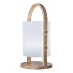 Battery-powered outdoor LED table lamp with bluetooth speaker and color change woody (batimex)