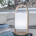 Battery-powered outdoor LED table lamp with bluetooth speaker and color change woody (batimex)