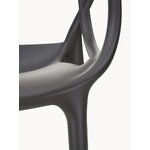 Must Disain Tool Masters (Kartell)