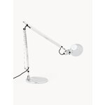 Laualamp (tolomeo)