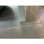 Valge disain konsoollaud (melek) iluvigadega
