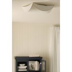 Ceiling lamp (Misaki TC)