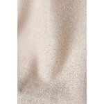 Priekškars (Džūdija Plaša)300