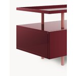 Punane TV-alus (Lennie)