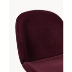 Punane Samet Tool Beetle (Gubi)