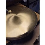 Balto aukso spalvos toršeras (Niels)