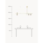 Rippvalgusti Cassandra (W.W)