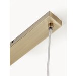 Kultainen riippuvalaisin (Hamilton)