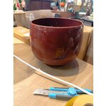 Gėlių vazonas (gydymas)