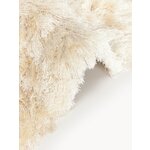 Light Beige High Pile Carpet (Jimmy) 200x300