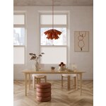 Light Brown Solid Wood Dining Table (Archie) 200x100