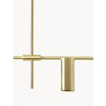 Rippvalgusti Cassandra (W.W)