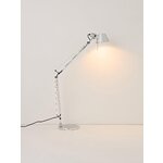 Laualamp (tolomeo)