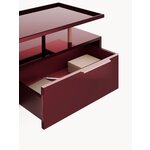 Punane TV-alus (Lennie)