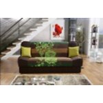 Green-brown sofa bed (jas)