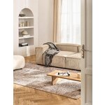 Light Grey Vintage Style Carpet (Alisha) 200x300