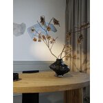 Vase Canyon (Hein Studio)