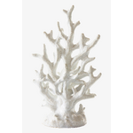 Valkoinen koristefiguuri (koralli)