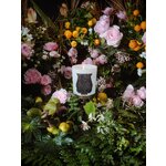 Aromātiskā svece Roze (Trudon)