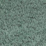 Žalioji bukle tumba lomos