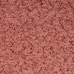 Rožinis buklė tumba lomos