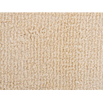 Smėlio spalvos kilimas (mutki) 200x300