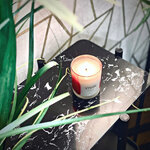 Aromātiskā sojas sveču mirre (vivin) vesela