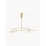 Golden design pendant lamp (nebo) whole