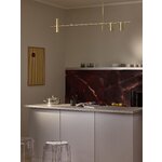 Rippvalgusti Cassandra (W.W)