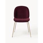 Punane Samet Tool Beetle (Gubi)