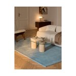 Light Blue Wool Rug (Zayne)300x400