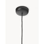Ripplamp Butterfly (Frandsen)