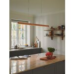 Pendant lamp Ilgas (Nordlux)