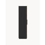 Brown Wardrobe (Modular Hinged Door)
