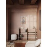Shelf (Rami)