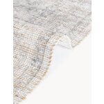 Light Grey Vintage Style Carpet (Alisha) 200x300