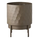 Puķupods (house nordic) vesels