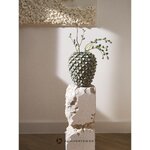Vase (Arlea)