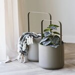 Mākslīgais augs (house nordic) vesels