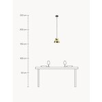 Ripplamp Butterfly (Frandsen)