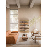 Brown-Black Shelf (Ren)