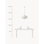 Pendant lamp (Misaki)
