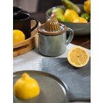 Citrinų spaustukas Pixie (Bloomingville)