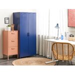 Storage cabinet with 2 doors, blue (varna), intact